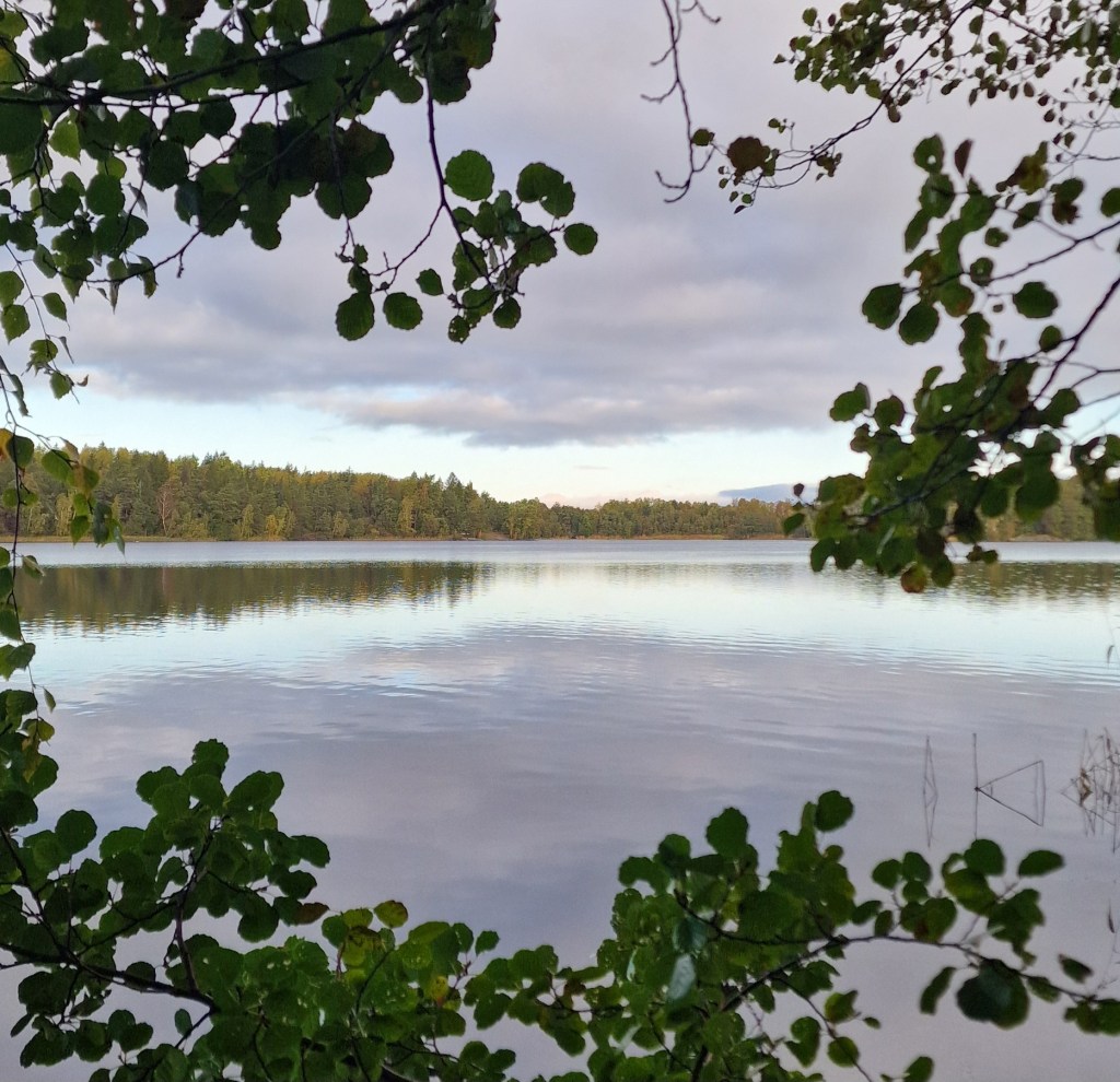 Fördömmelsens rötter
